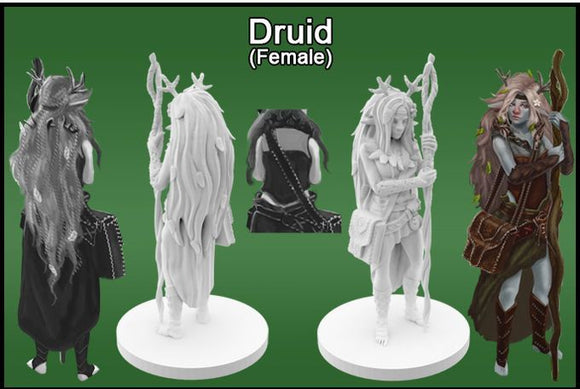 Krakenships Miniatures Phoradin Female Druid  Other   