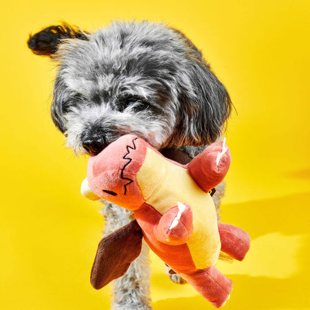 Red Dragon Plush Dog Toy with Squeaker Plushes Dispel Dice   