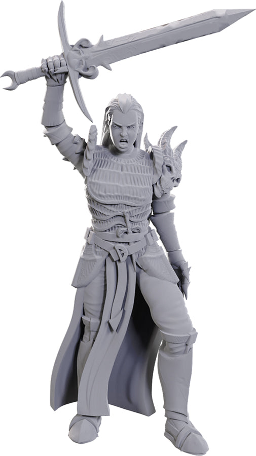 D&D Nolzur's Marvelous Miniatures: Blackguard Miniatures WizKids