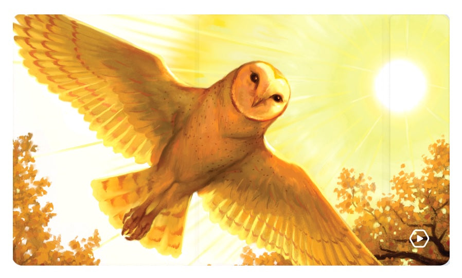 Heavy Play ETB Playmat: Art Masters - Eric Deschamps (6 options) Supplies Heavy Play ETB PM ED Bird