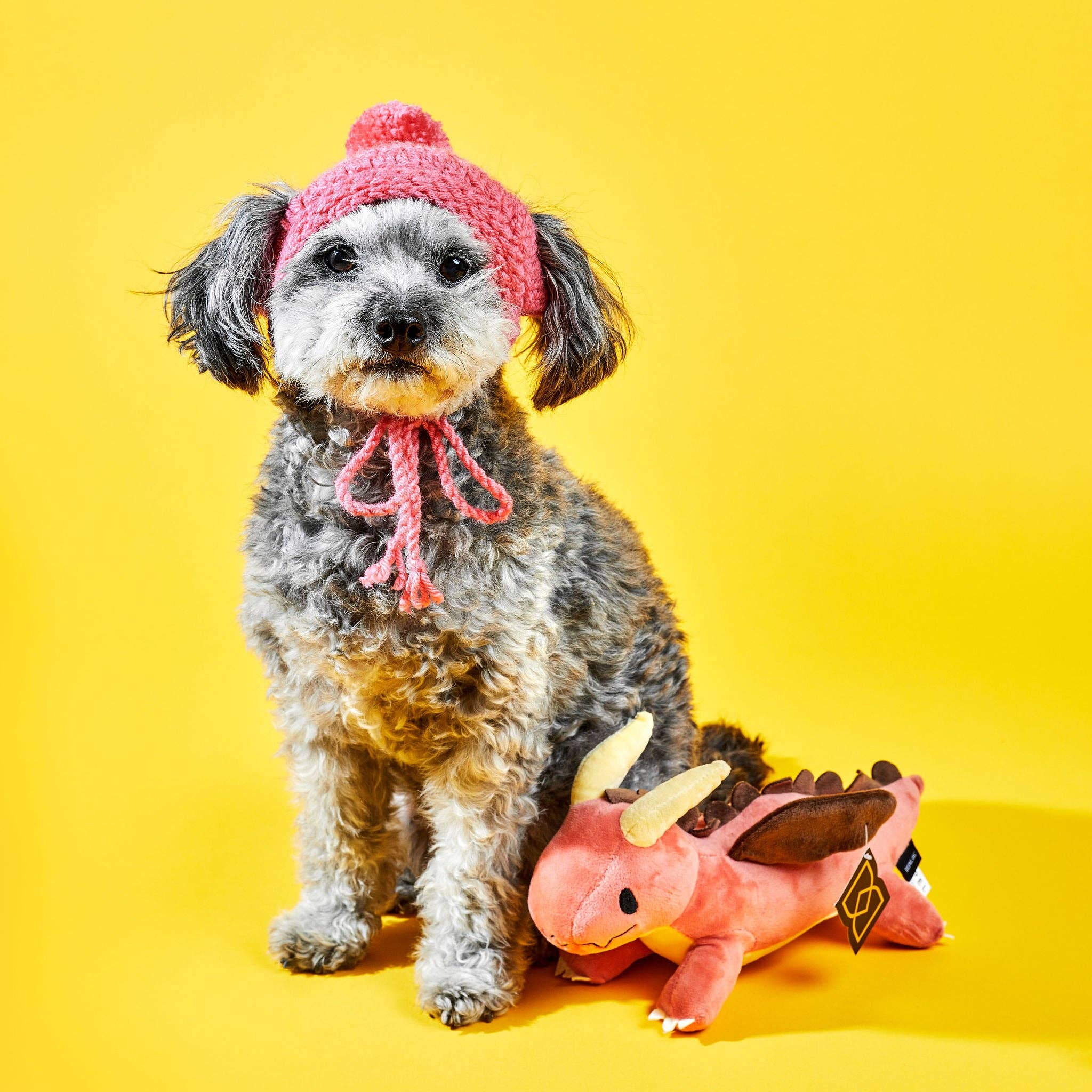 Red Dragon Plush Dog Toy with Squeaker Plushes Dispel Dice   