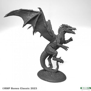 Reaper Bones Black: Amber Dragon Miniatures Reaper Miniatures   