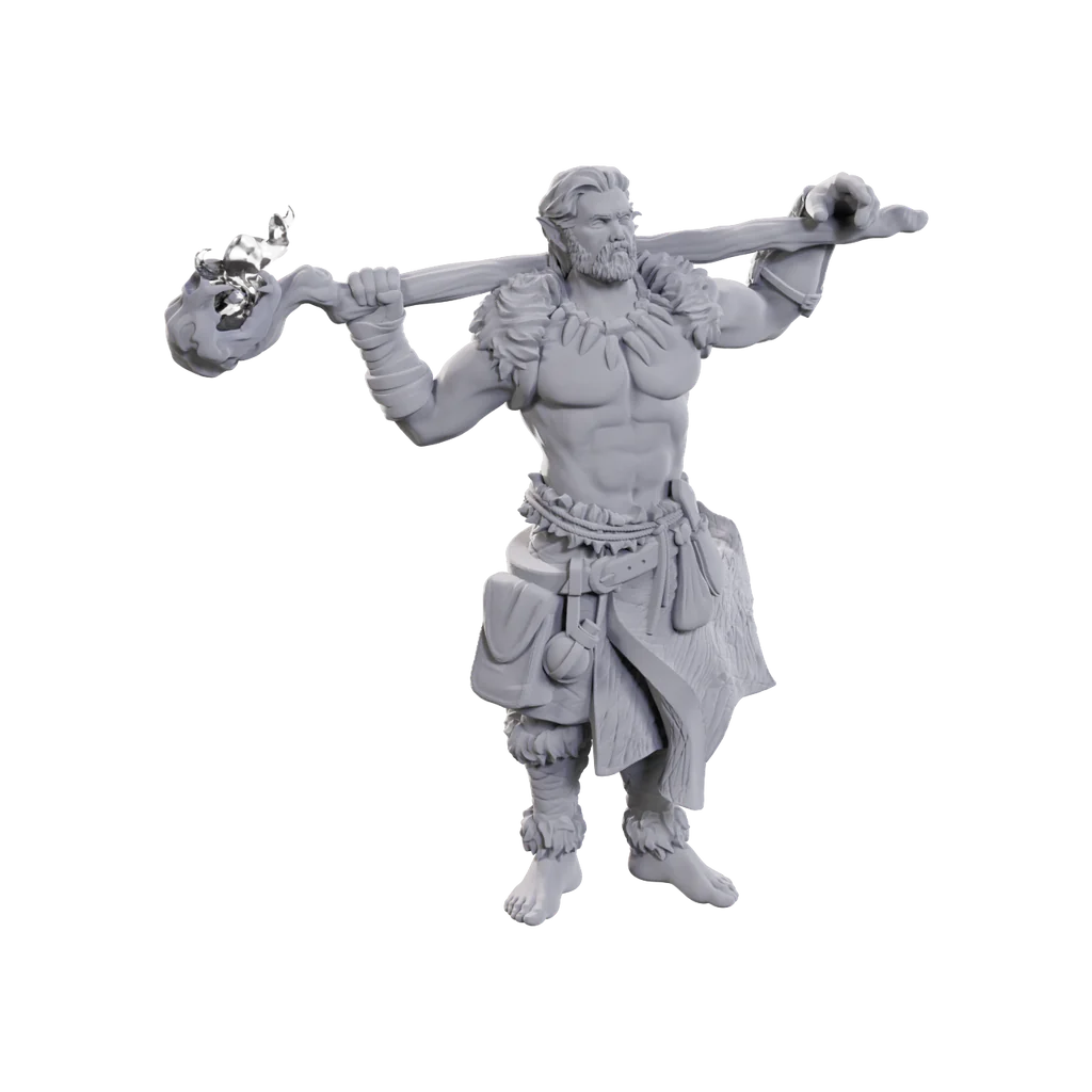 D&D Nolzur's Marvelous Miniatures: Archdruid & Martial Arts Adept Miniatures WizKids