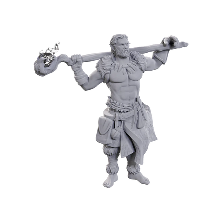 D&D Nolzur's Marvelous Miniatures: Archdruid & Martial Arts Adept Miniatures WizKids