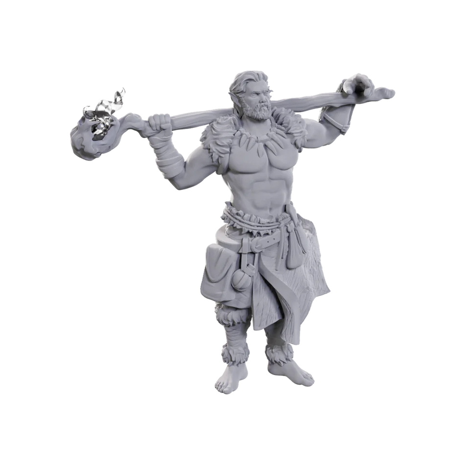D&D Nolzur's Marvelous Miniatures: Archdruid & Martial Arts Adept Miniatures WizKids