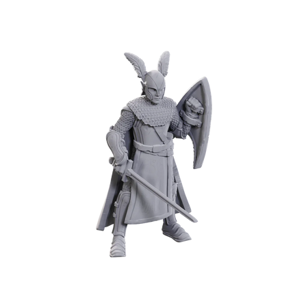 D&D Nolzur's Marvelous Miniatures: Limited Edition 50th Anniversary Elves Miniatures WizKids