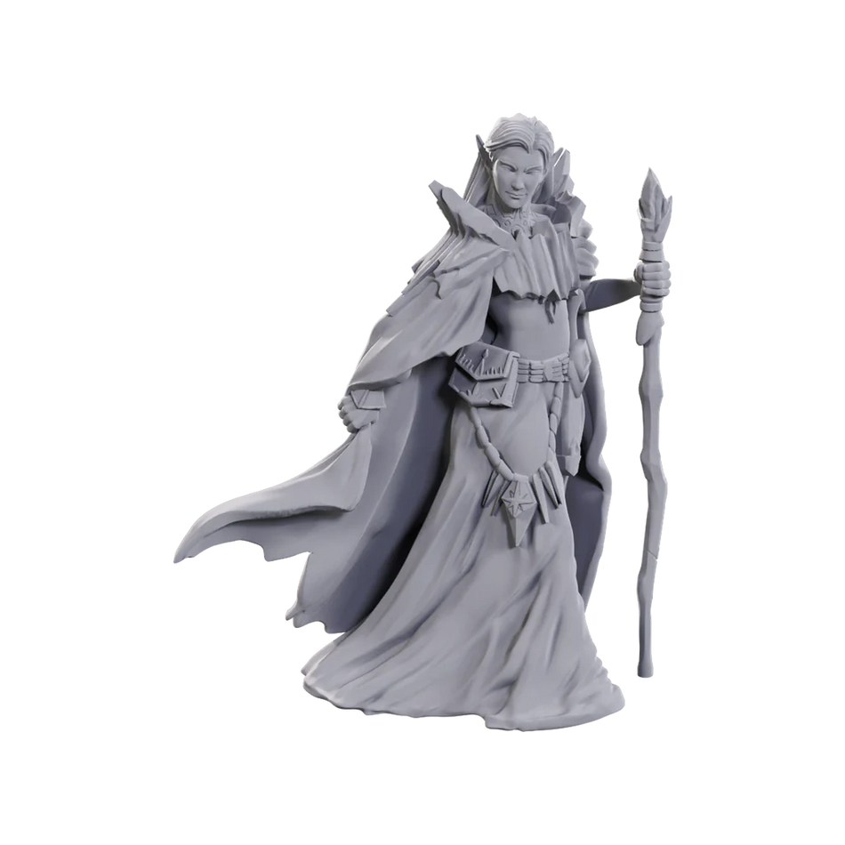 D&D Nolzur's Marvelous Miniatures: Limited Edition 50th Anniversary Elves Miniatures WizKids