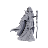 D&D Nolzur's Marvelous Miniatures: Limited Edition 50th Anniversary Elves Miniatures WizKids