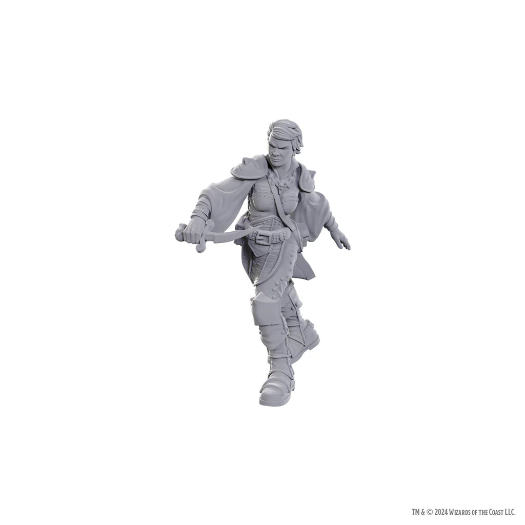D&D Nolzur's Marvelous Miniatures: Swashbuckler Miniatures WizKids