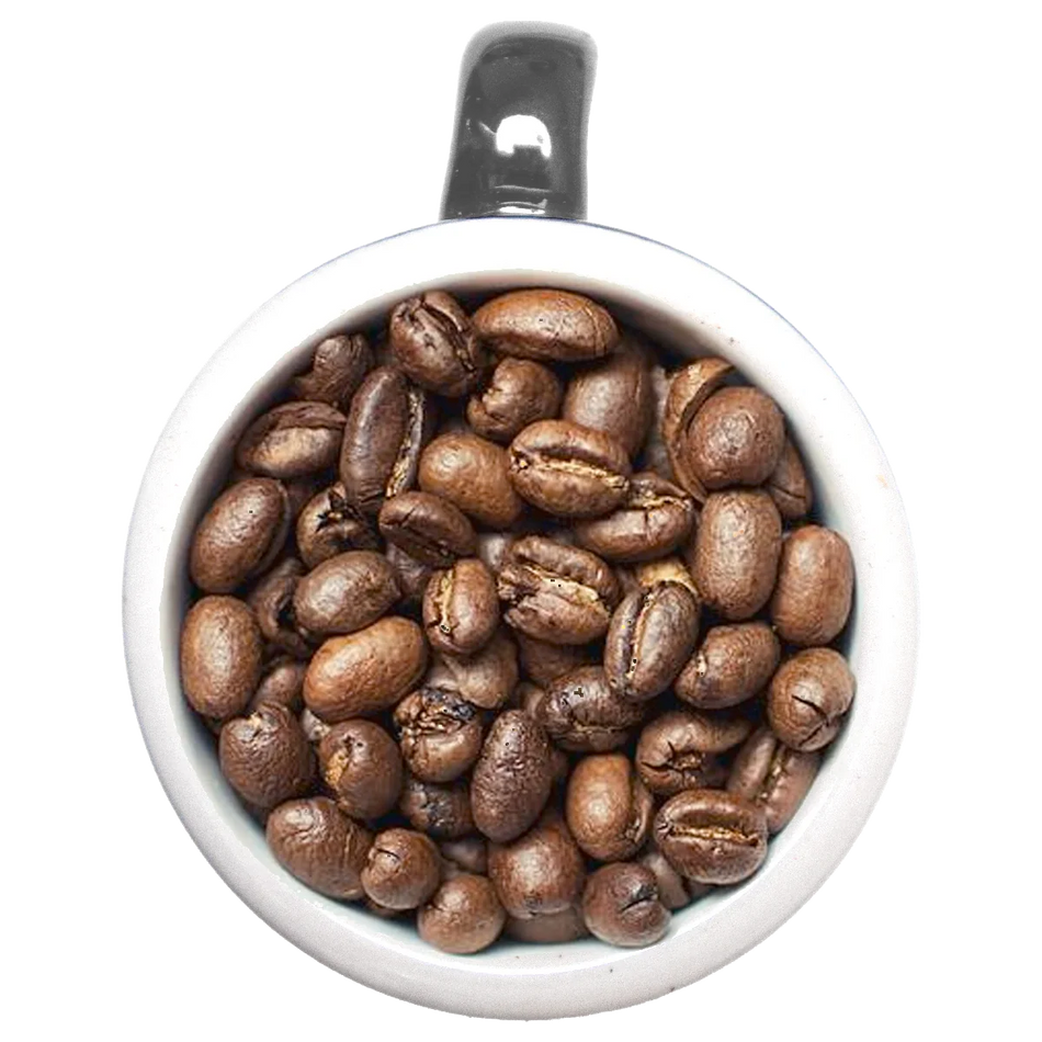 Many Worlds Tavern - Homely House Coffee 12oz Coffee & Tea Many Worlds Tavern 12oz Whole Bean  