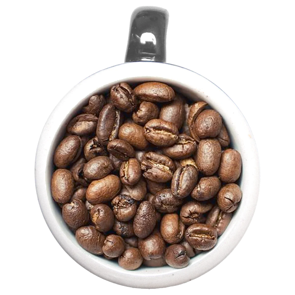 Many Worlds Tavern - Great Old One Coffee 12oz Coffee & Tea Many Worlds Tavern 12oz Whole Bean  