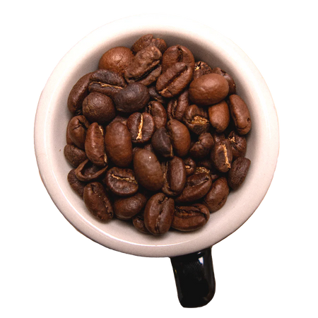 Many Worlds Tavern - Dragon's Nest Coffee 12oz Coffee & Tea Many Worlds Tavern 12oz Whole Bean  
