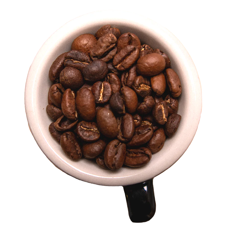 Many Worlds Tavern - Dragon's Nest Coffee 12oz Coffee & Tea Many Worlds Tavern 12oz Whole Bean  