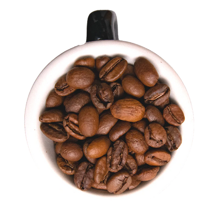 Many Worlds Tavern - Lamp's Light Coffee 12oz Coffee & Tea Many Worlds Tavern 12oz Whole Bean  