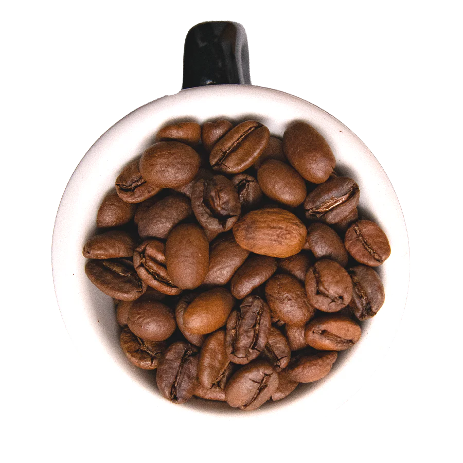 Many Worlds Tavern - Lamp's Light Coffee 12oz Coffee & Tea Many Worlds Tavern 12oz Whole Bean  