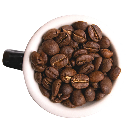 Many Worlds Tavern - Looking Glass Coffee 12oz Coffee & Tea Many Worlds Tavern 12oz Whole Bean  