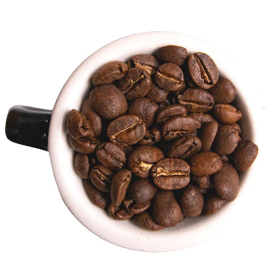 Many Worlds Tavern - Looking Glass Coffee 12oz Coffee & Tea Many Worlds Tavern 12oz Whole Bean  