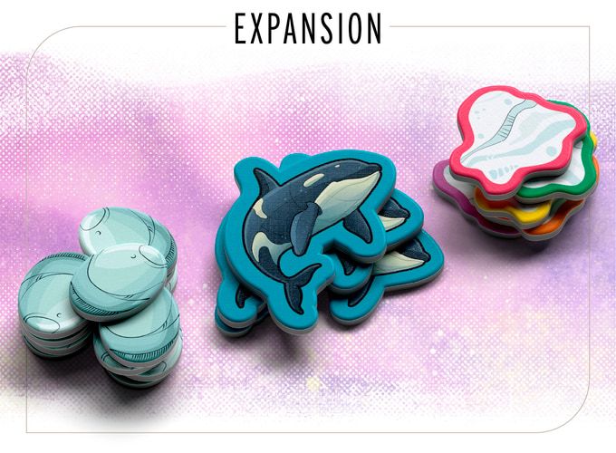 Waddle: Orcas & Ice Floes Board Games Asmodee