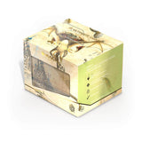 Ultimate Guard Sidewinder 100+ Deck Box Xenoskin: Avatar the Last Airbender (8 Options) Supplies Ultimate Guard SW ATLA Momo