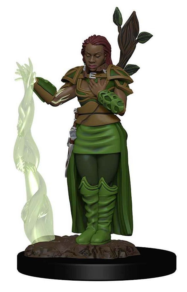 D&D Icons of the Realms Premium Figures: Human Female Druid (93009) Miniatures WizKids