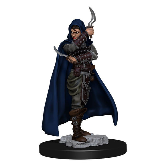 Pathfinder Battles Premium Painted Figure Human Female Rogue (77501) Miniatures WizKids   