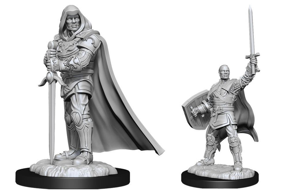 Nolzur’s Marvelous Unpainted Miniatures Human Male Paladin (90136) Miniatures WizKids   
