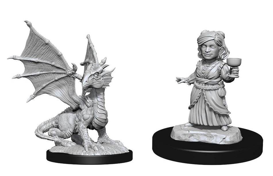 Nolzur’s Marvelous Unpainted Miniatures Silver Dragon Wyrmling & Female Halfling (90153) Miniatures WizKids   