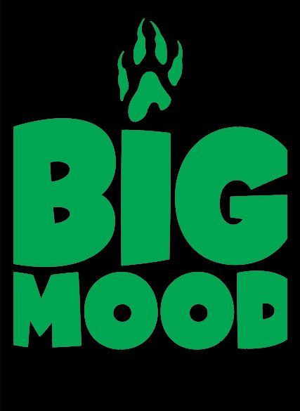 Legion Standard Card Sleeves 50ct Big Mood Supplies Legion Supplies   