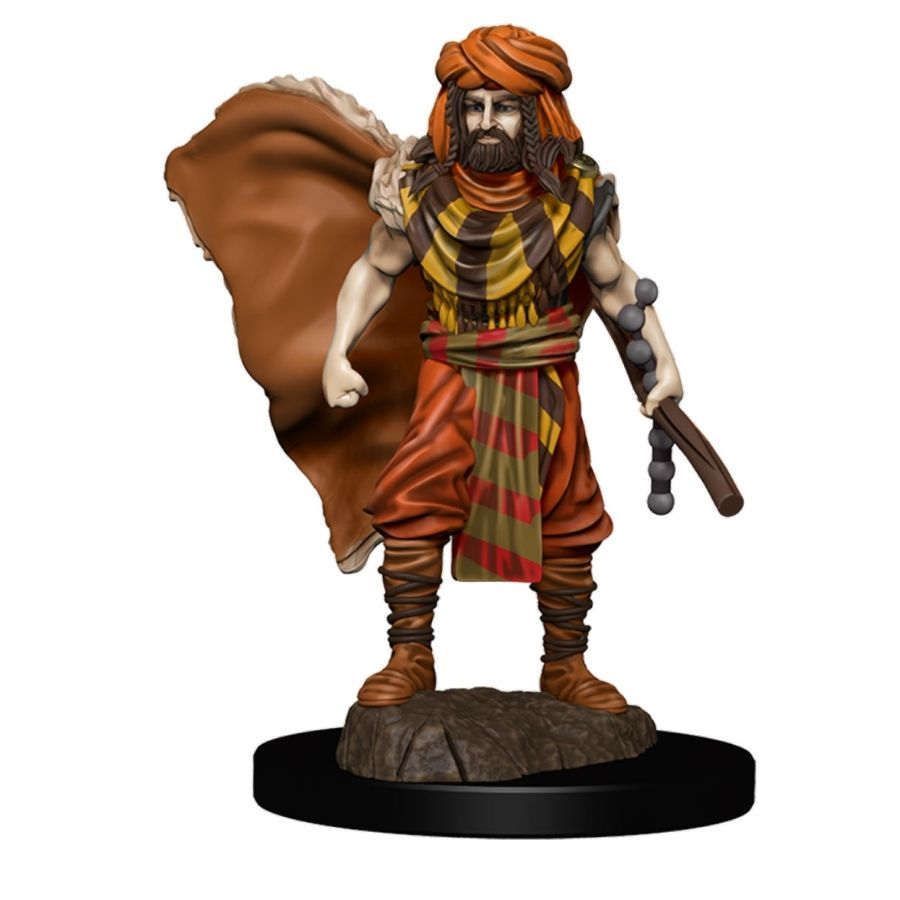 D&D Icons of the Realms Premium Figures: Male Human Druid (93031) Miniatures WizKids   