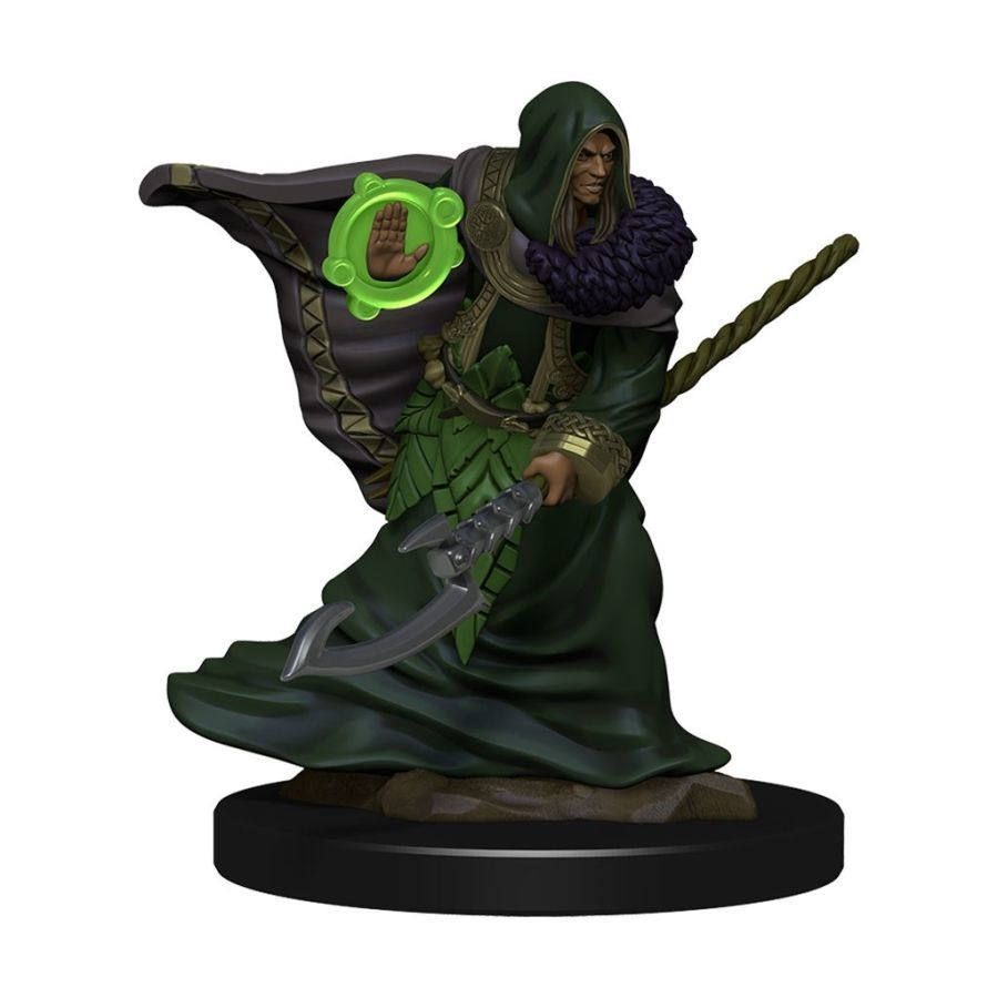 D&D Icons of the Realms Premium Male Elf Druid (93040) Miniatures WizKids