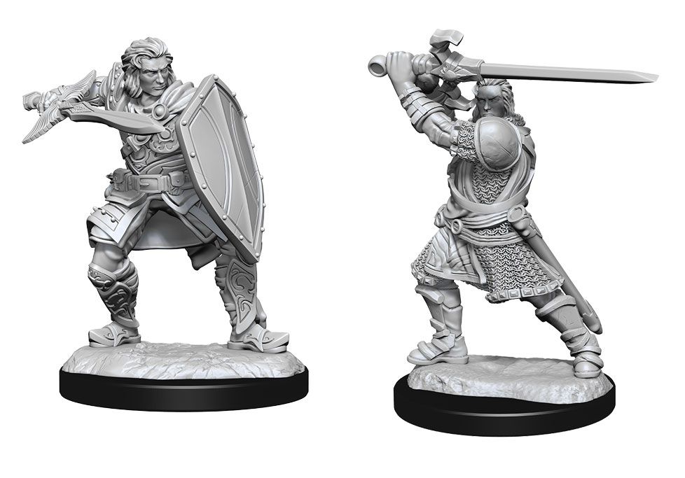 Nolzur’s Marvelous Unpainted Miniatures Human Paladin Male (90220) Miniatures WizKids   
