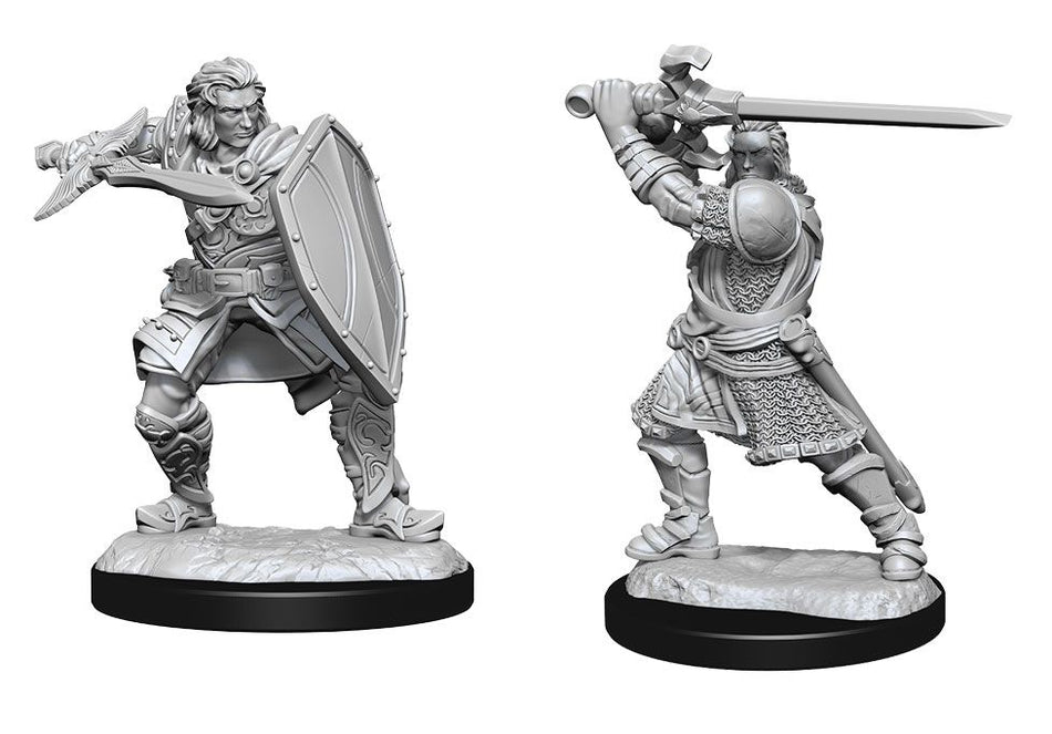 Nolzur’s Marvelous Unpainted Miniatures Human Paladin Male (90220) Miniatures WizKids   