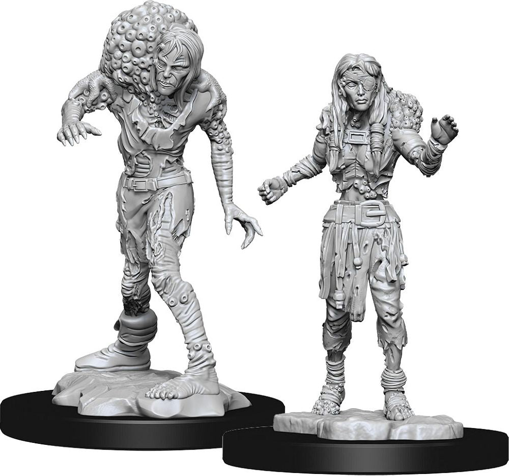 Nolzur’s Marvelous Unpainted Miniatures Drowned Assassin & Asceti (90242) Miniatures WizKids   
