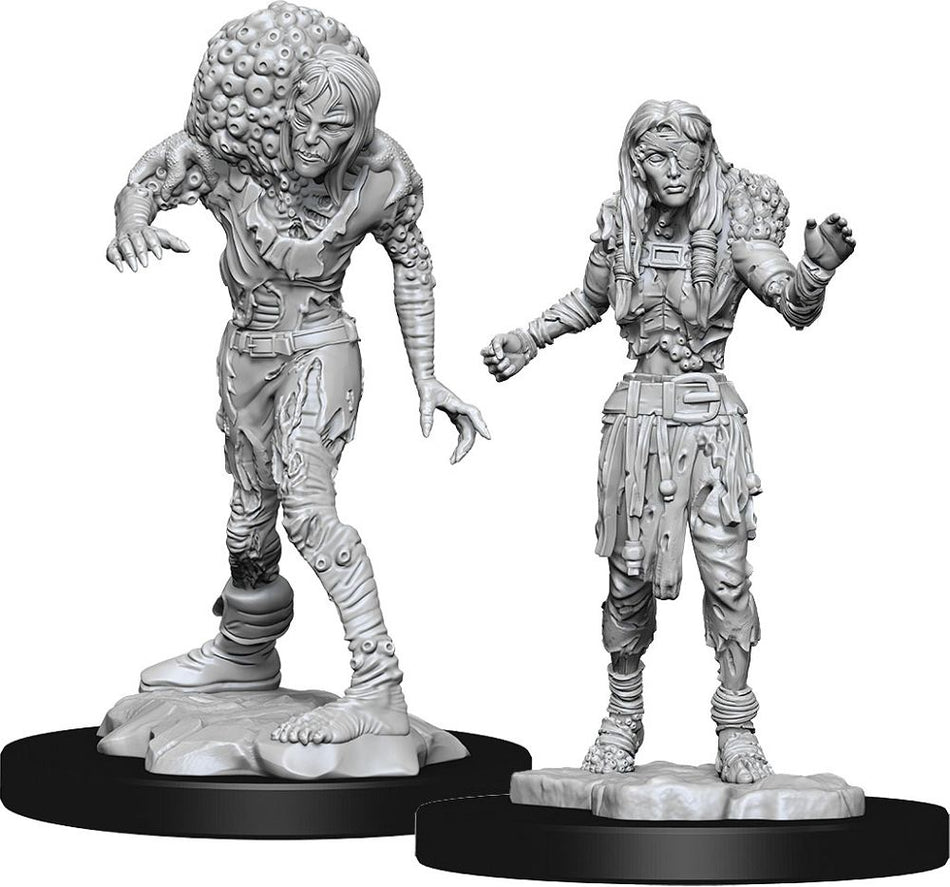 Nolzur’s Marvelous Unpainted Miniatures Drowned Assassin & Asceti (90242) Miniatures WizKids   