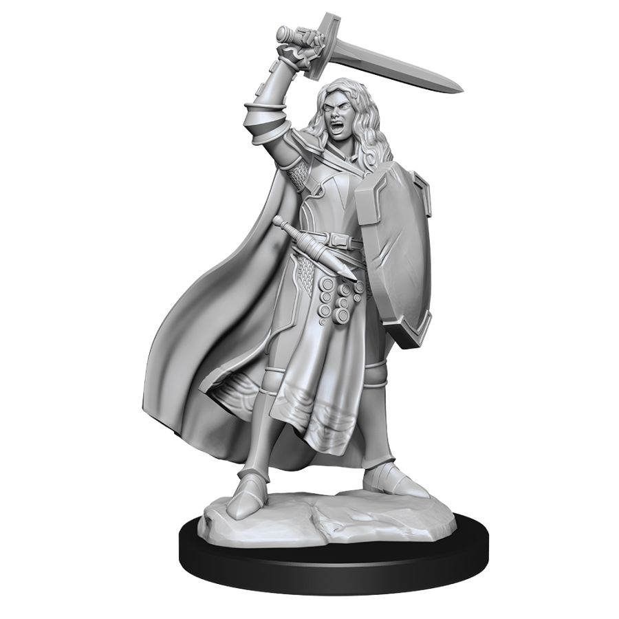 Pathfinder Battles Deep Cuts Unpainted Miniatures Human Female Champion (90264) Miniatures WizKids   