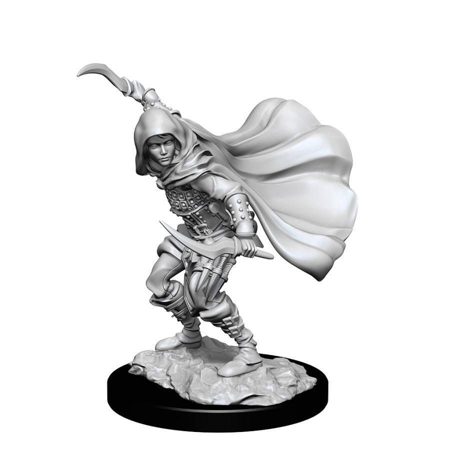 Pathfinder Battles Deep Cuts Unpainted Miniatures Human Female Rogue (90269) Miniatures WizKids   