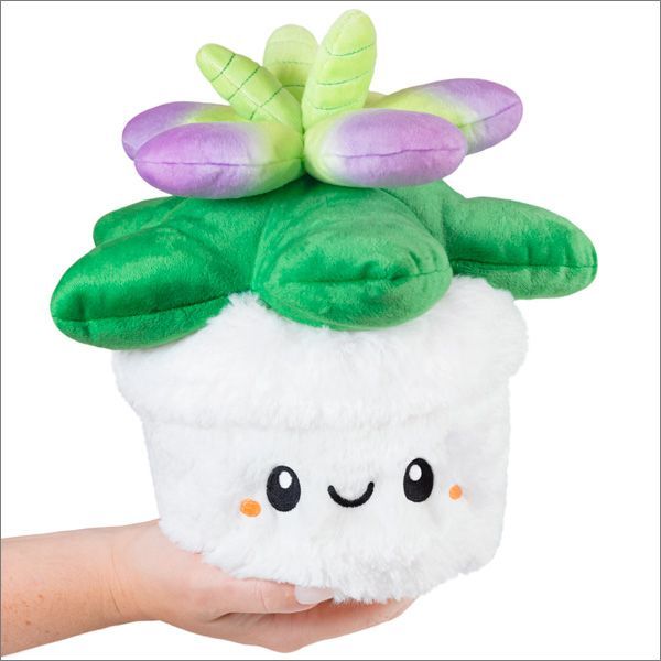 Mini Succulent Plushes Squishable   