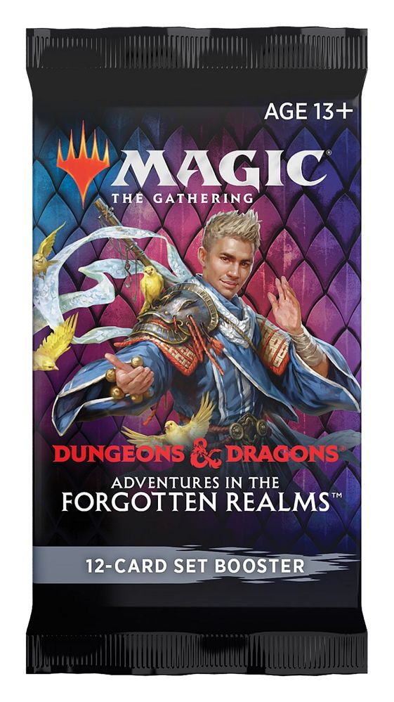 MTG: Adventures in the Forgotten Realms Set Booster  Common Ground Games   