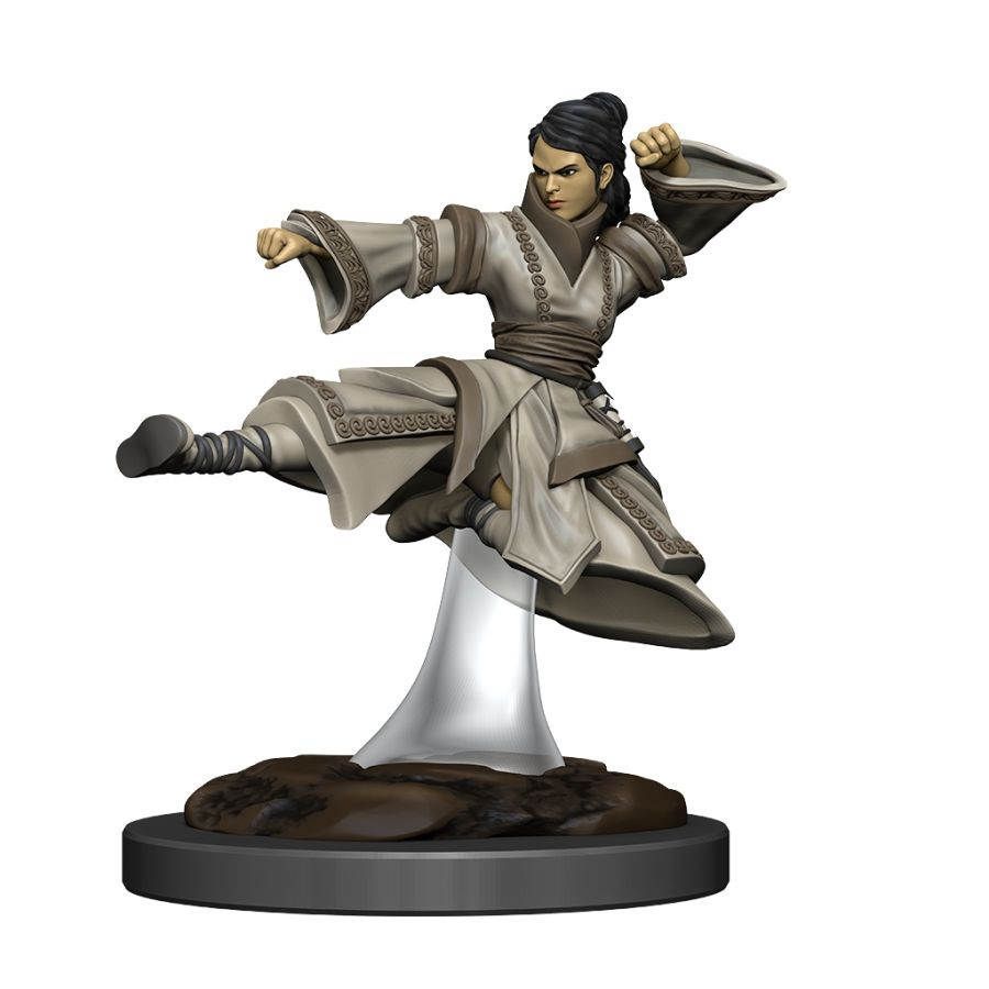 D&D Painted Premium Female Human Monk (93044) Miniatures WizKids