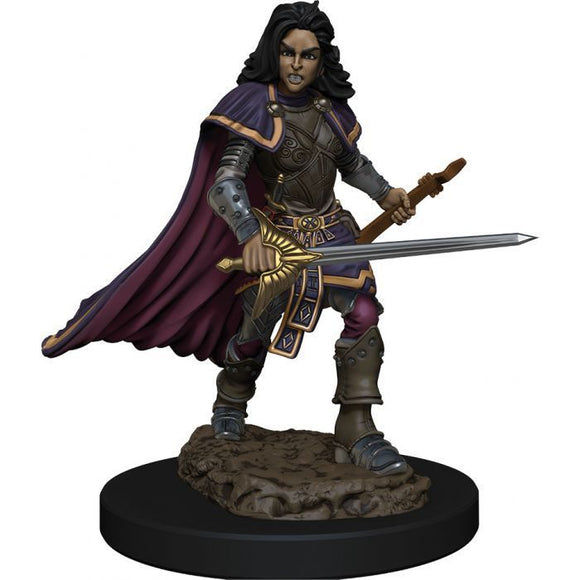 Pathfinder Battles Premium Painted Figure Female Human Bard (77509)  WizKids   
