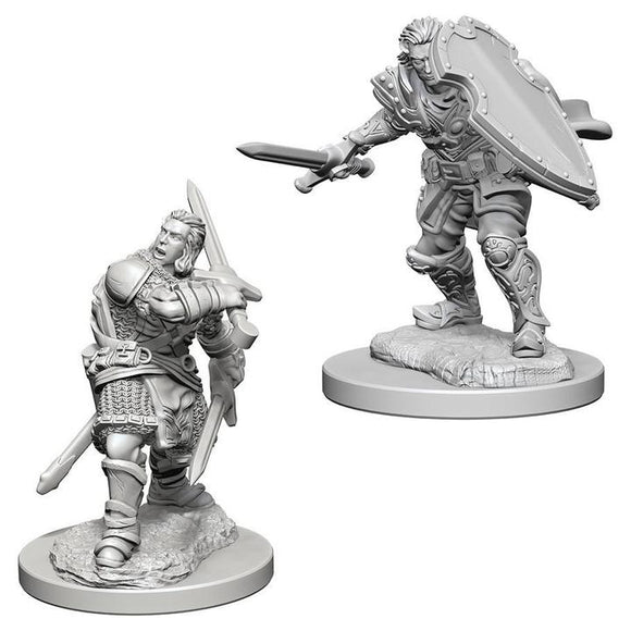 D&D Nolzur's Marvelous Unpainted Miniatures: Human Male Paladin Miniatures WizKids   