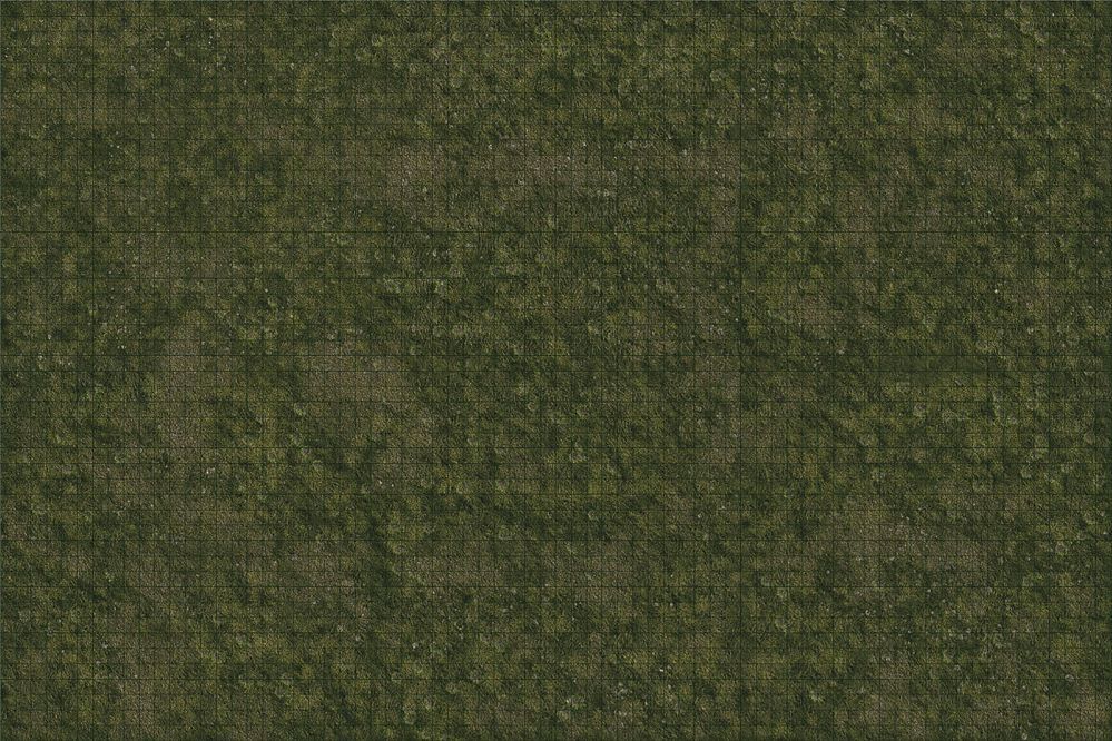 D&D Premium Battle Mat Grasslands RPG Maps WizKids   