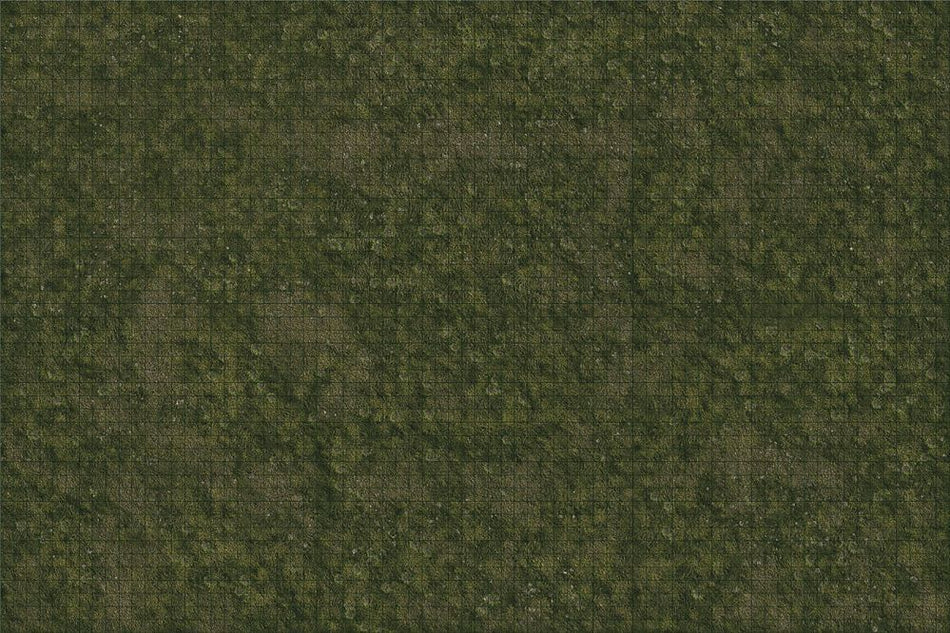 D&D Premium Battle Mat Grasslands RPG Maps WizKids   