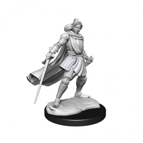 Critical Role Unpainted Miniatures Female Half-Elf Paladin Xhorhas (90390) Miniatures WizKids   
