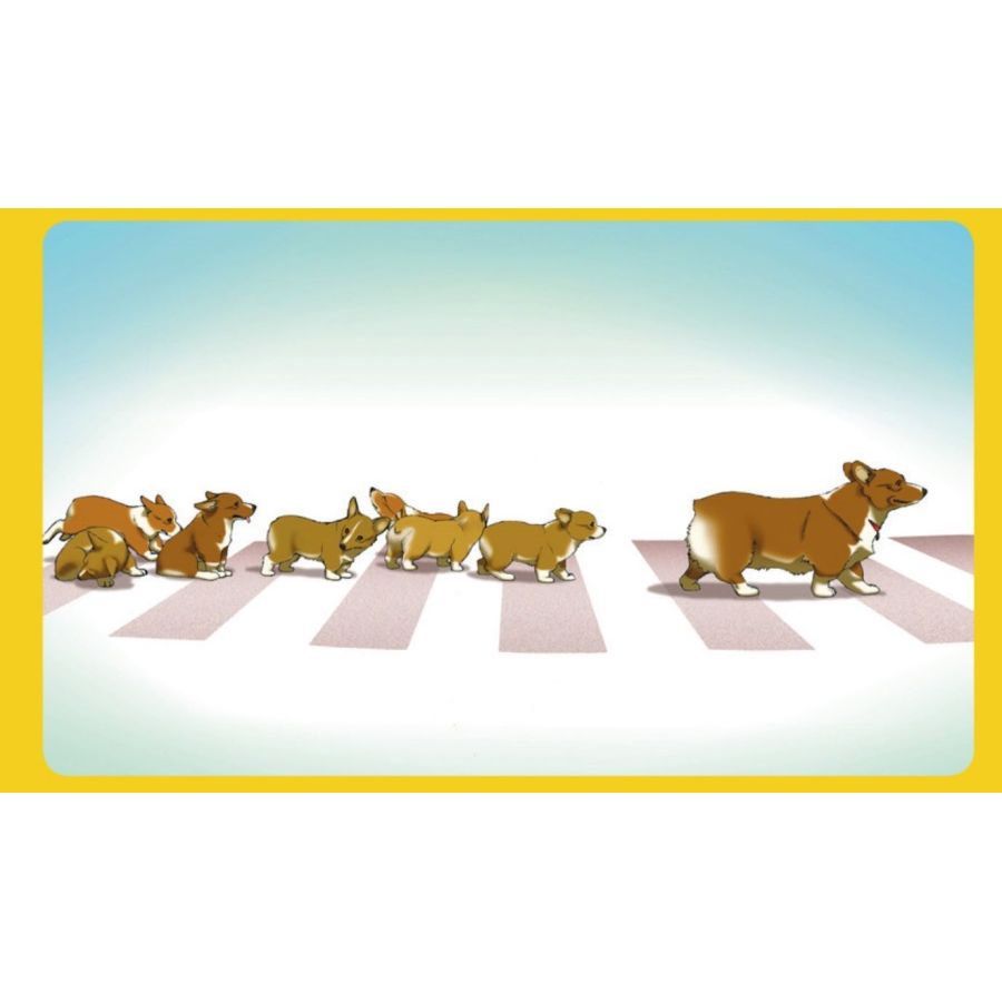Playmat Cowboy Bebop Ein and Family (421027)  Japanime Games   
