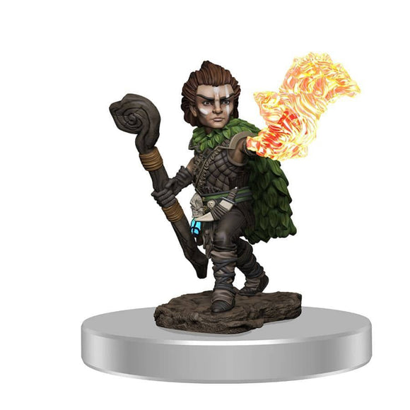 Pathfinder Battles Premium Male Gnome Druid (77516) Miniatures WizKids