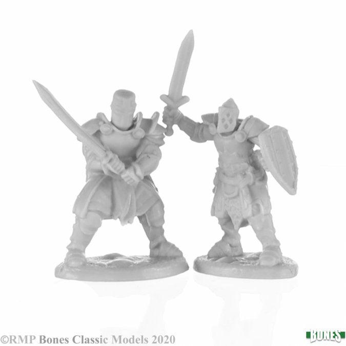 Reaper Miniatures Knight Heroes (2) (77676) Miniatures Reaper Miniatures   