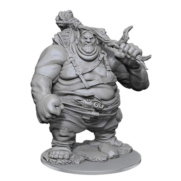 WizKids Dungeons & Dragons Nolzur’s Marvelous Miniatures Hill Giant (90497) Miniatures WizKids   