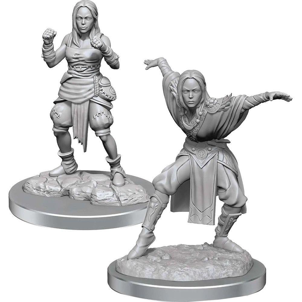 Pathfinder Deep Cuts: Half-Elf Monk Female Miniatures WizKids   