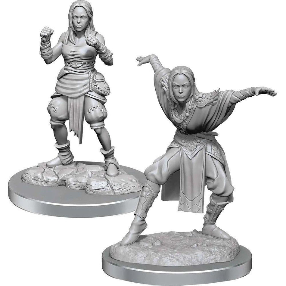 Pathfinder Deep Cuts: Half-Elf Monk Female Miniatures WizKids   